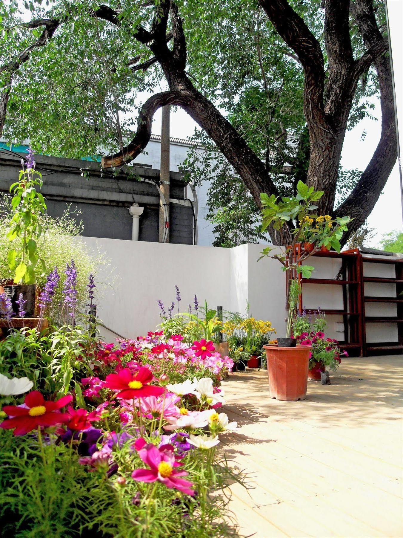 Beijing Wohkoon Hostel-Nan Luo Gu Xiang Branch Eksteriør bilde